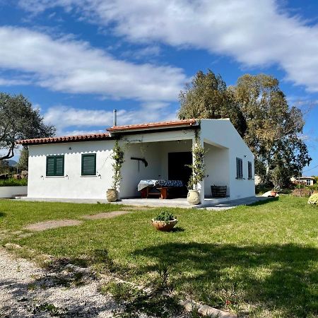 Casa Vacanze Gollei, 오로세 외부 사진